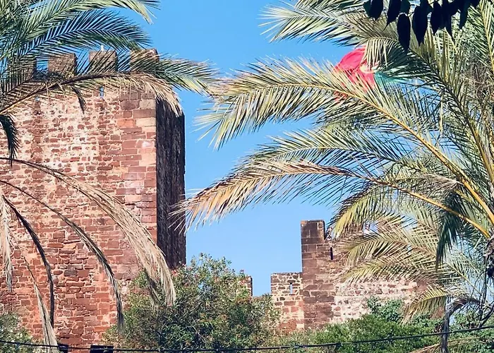 Casa Da Se Renovated Traditional Townhouse With Courtyard *